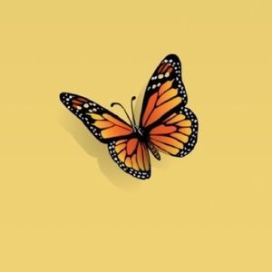 Meet your Posher, Celi